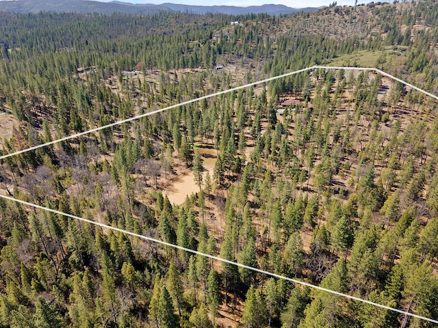 drone / aerial view featuring a mountain view and a wooded view
