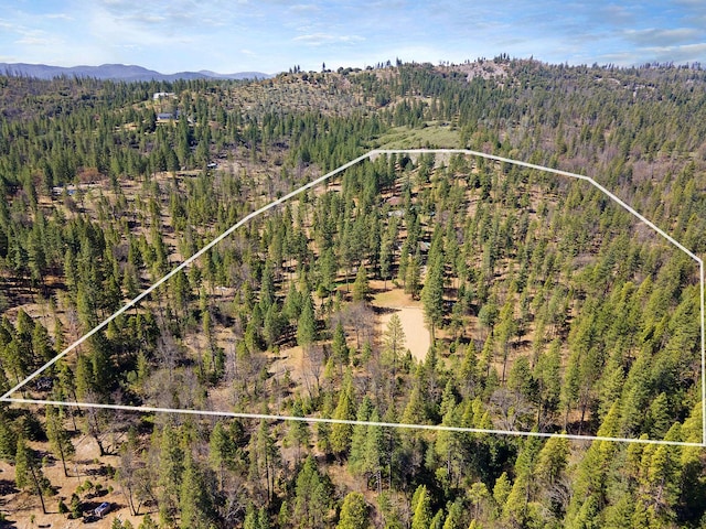 drone / aerial view with a view of trees and a mountain view
