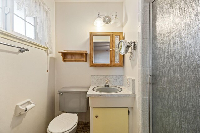 bathroom with vanity, a shower with shower door, and toilet