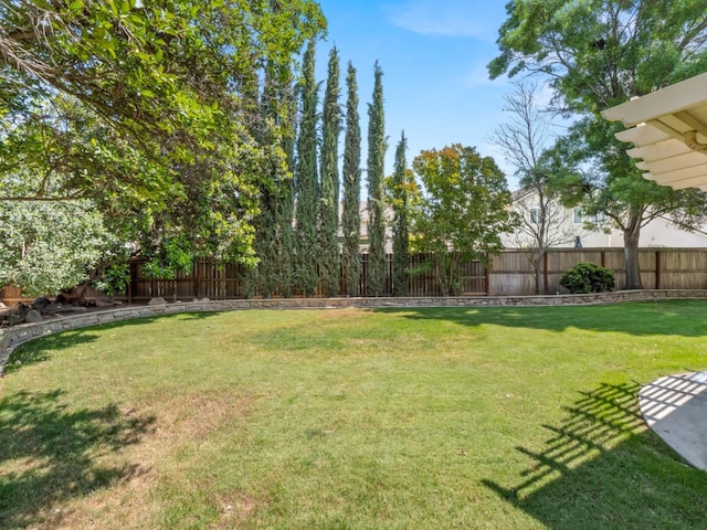 9596 N Winery Ave, Fresno, CA 93720 - view of yard with a fenced backyard