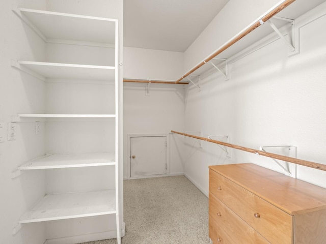 9596 N Winery Ave, Fresno, CA 93720 - view of spacious closet