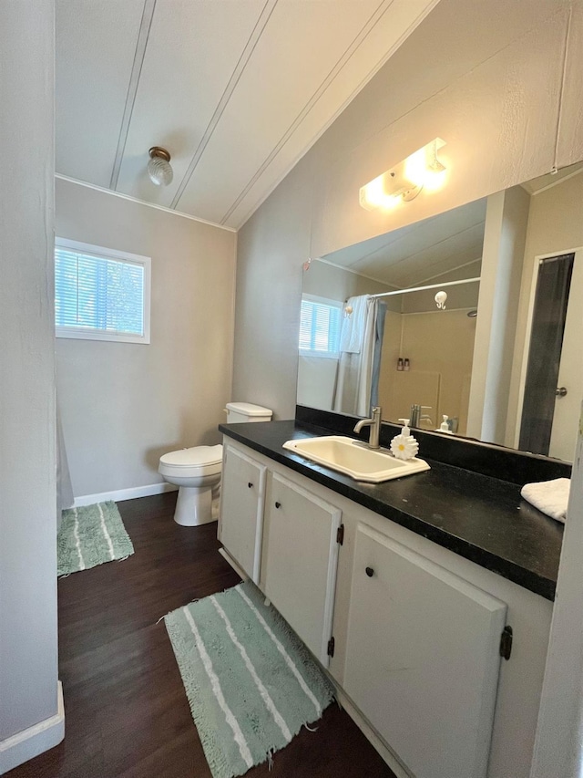860 E Grangeville Blvd Unit 153, Hanford, CA 93230 - bathroom with vaulted ceiling, wood finished floors, vanity, a shower with curtain, and toilet