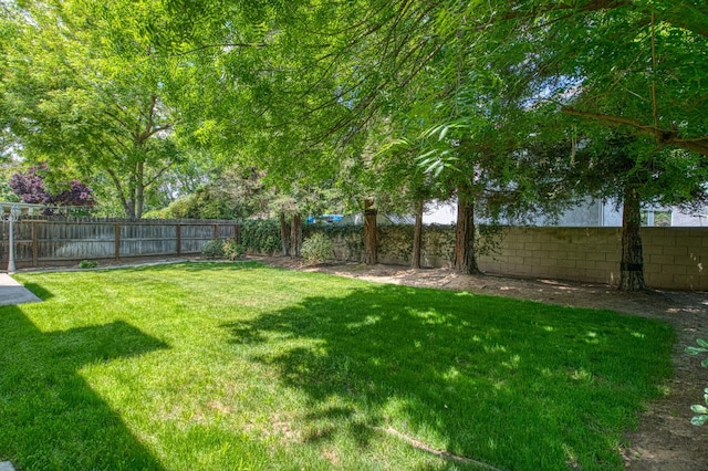view of yard with a fenced backyard