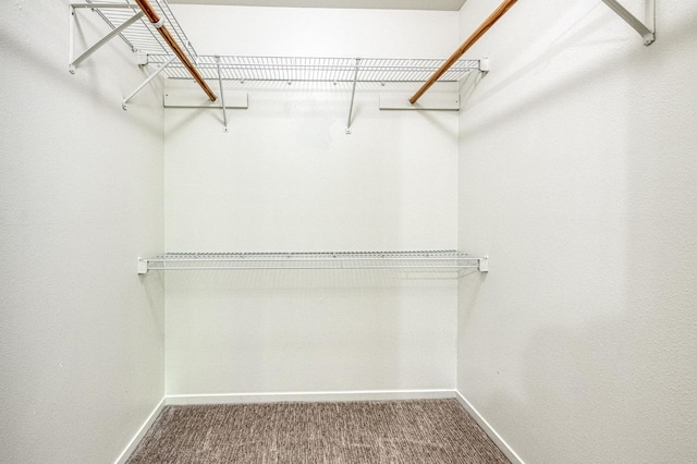 walk in closet with carpet
