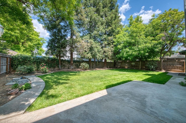 view of yard with a fenced backyard and a patio