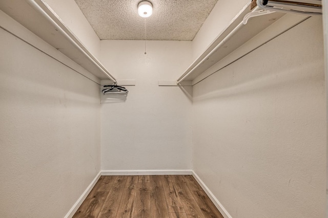 spacious closet featuring dark wood-type flooring
