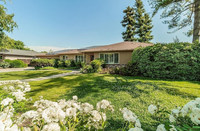 ranch-style house with a front lawn and stucco siding