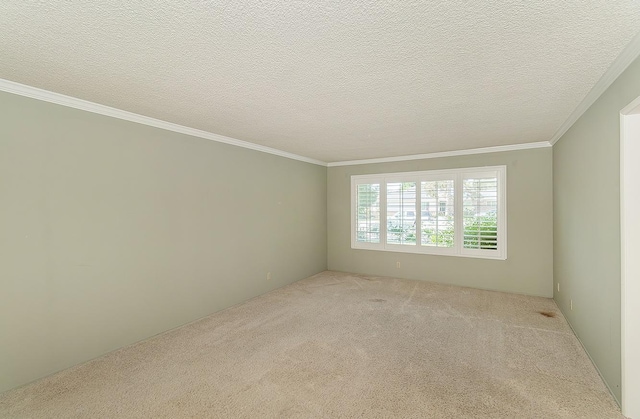 empty room featuring crown molding, a textured ceiling, and carpet