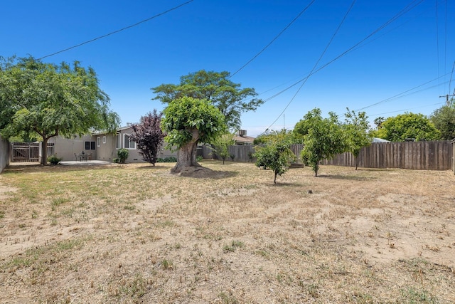 view of yard with a fenced backyard and a patio area