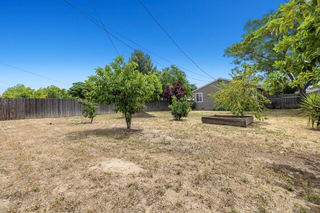 view of yard with a fenced backyard and a vegetable garden