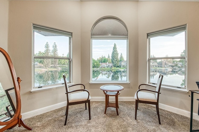 living area featuring plenty of natural light, carpet flooring, and baseboards