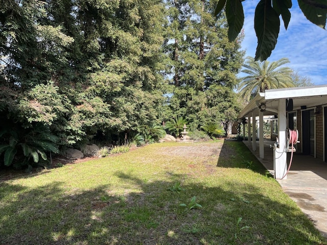 view of yard