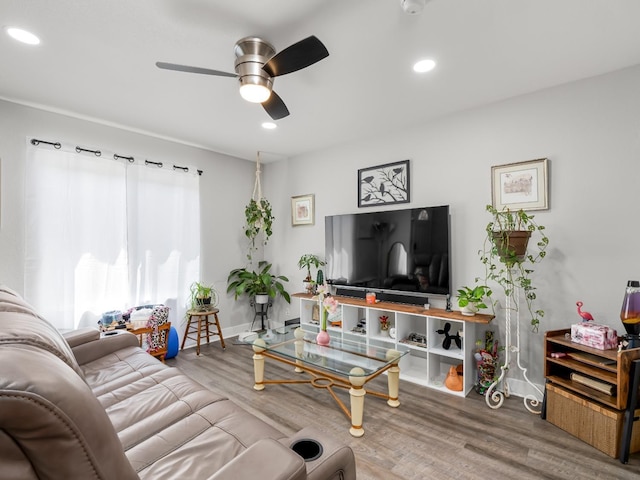 living room featuring a ceiling fan, recessed lighting, and wood finished floors