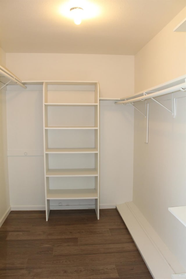 2791 W Kofoid Ave, Caruthers, CA 93609 - spacious closet with dark wood finished floors