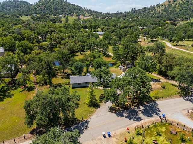 bird's eye view with a forest view