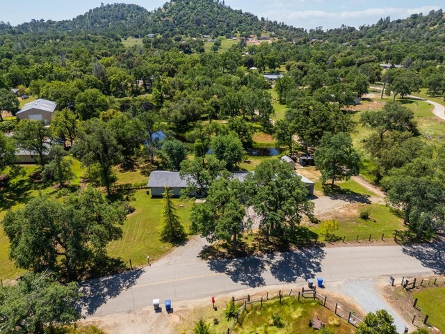 aerial view featuring a view of trees