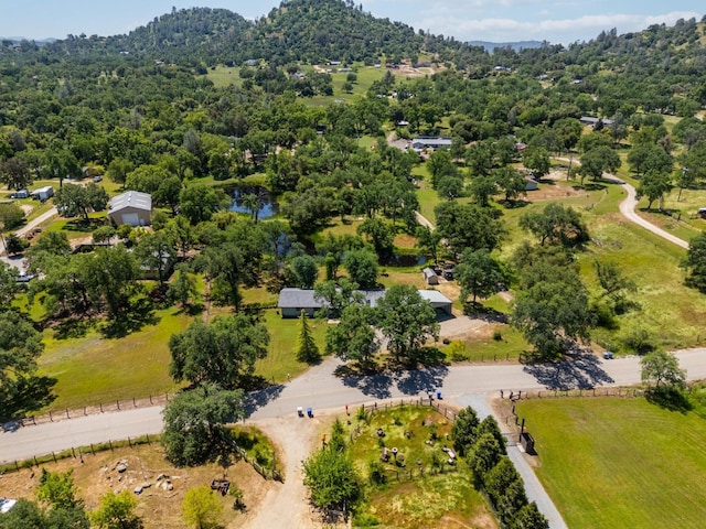 bird's eye view with a view of trees