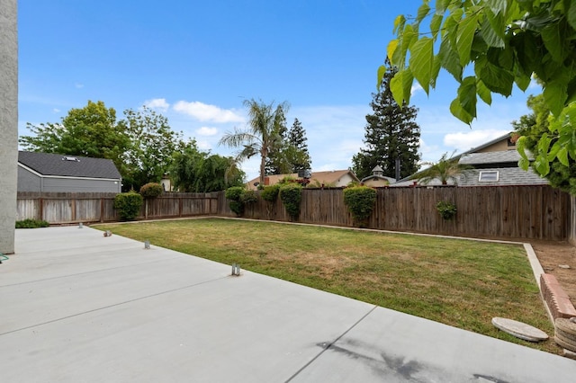 view of yard featuring a fenced backyard and a patio
