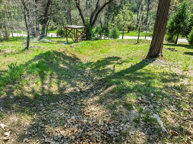 59683 Cascadel Dr, North Fork, CA 93643 - photo 57