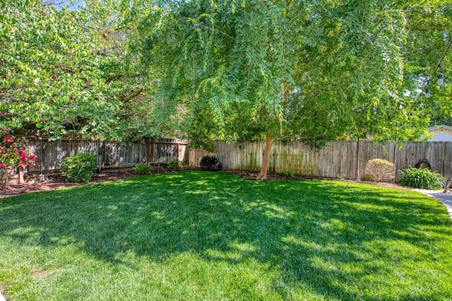 view of yard featuring a fenced backyard