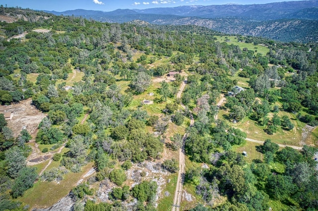 drone / aerial view with a mountain view and a forest view