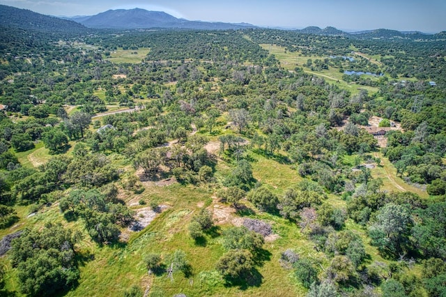 birds eye view of property featuring a mountain view