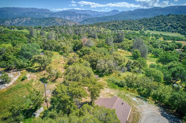 aerial view with a mountain view and a forest view