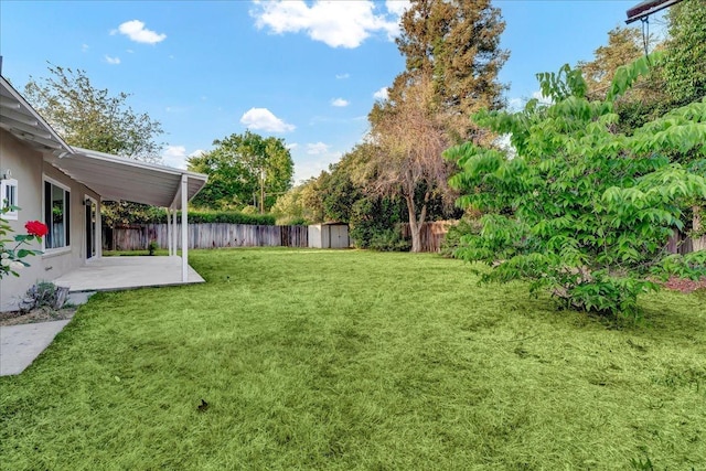view of yard featuring an outbuilding, a fenced backyard, a patio area, and a storage unit