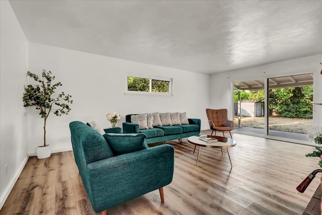 living room with baseboards and wood finished floors