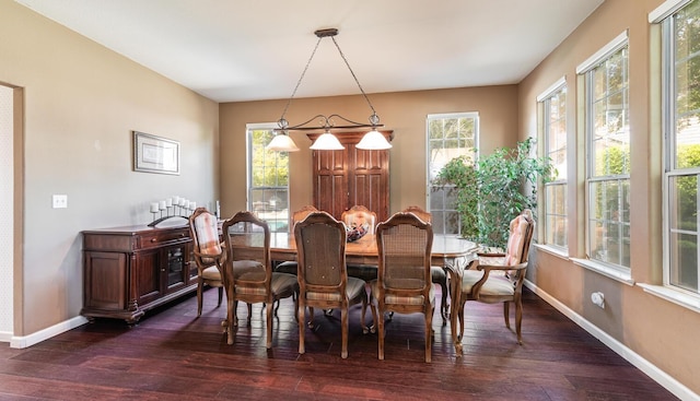 dining space featuring baseboards and dark wood-style floors