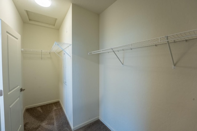 spacious closet with carpet floors and attic access