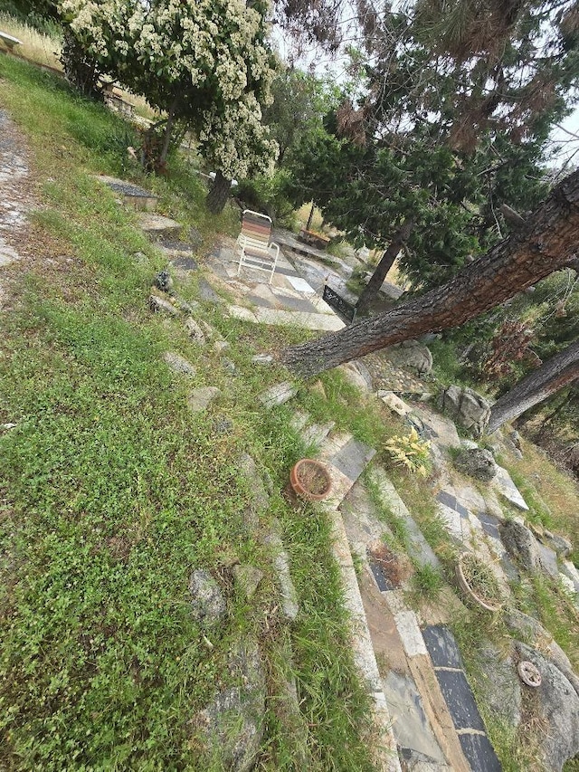31081 Yosemite Springs Pkwy, Coarsegold, CA 93614 - photo 52