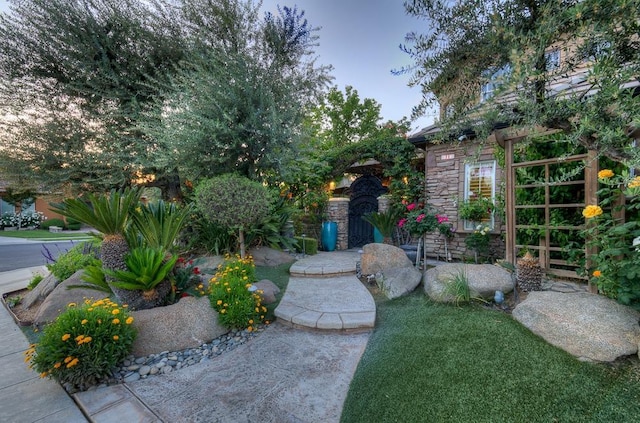 71 Omaha Ave, Clovis, CA 93619 - view of yard