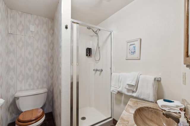 bathroom with a sink, a stall shower, and toilet