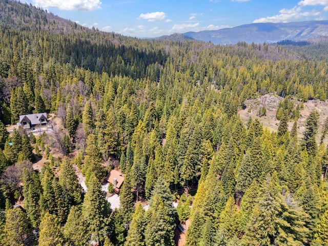 birds eye view of property featuring a mountain view and a wooded view