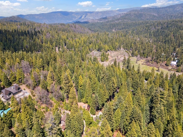 drone / aerial view featuring a forest view and a mountain view