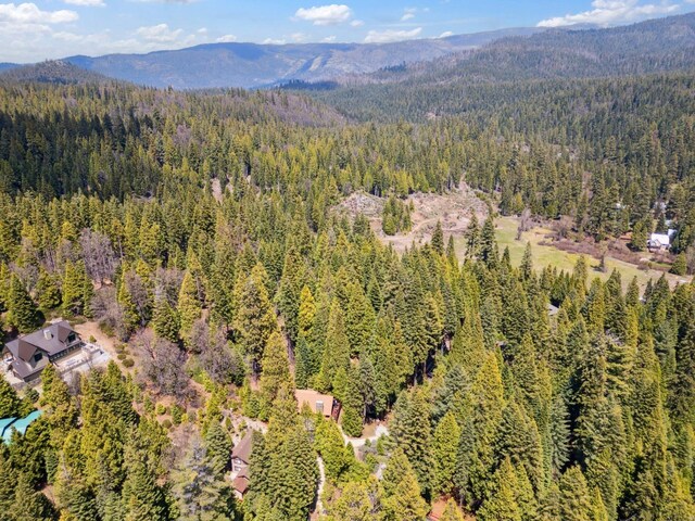 1167 Silver Tip Ln, Fish Camp, CA 93623 - view of property location featuring a heavily wooded area and mountains
