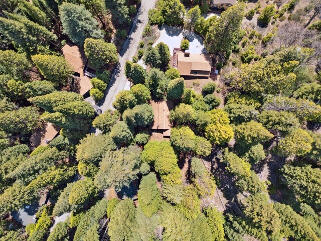 1167 Silver Tip Ln, Fish Camp, CA 93623 - bird's eye view
