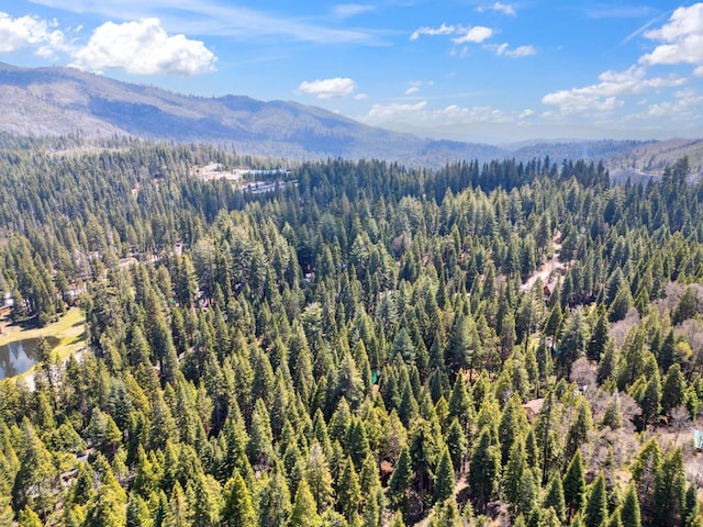 aerial view featuring a water and mountain view and a wooded view