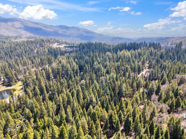 1167 Silver Tip Ln, Fish Camp, CA 93623 - view of mountain backdrop featuring a heavily wooded area and a large body of water