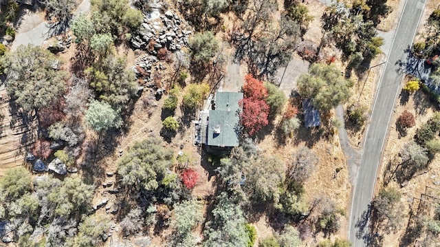 43299 Ranger Circle Dr, Coarsegold, CA 93614 - aerial view