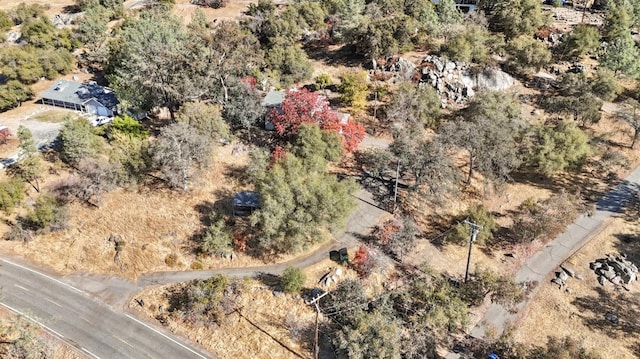 43299 Ranger Circle Dr, Coarsegold, CA 93614 - drone / aerial view