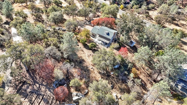 43299 Ranger Circle Dr, Coarsegold, CA 93614 - birds eye view of property