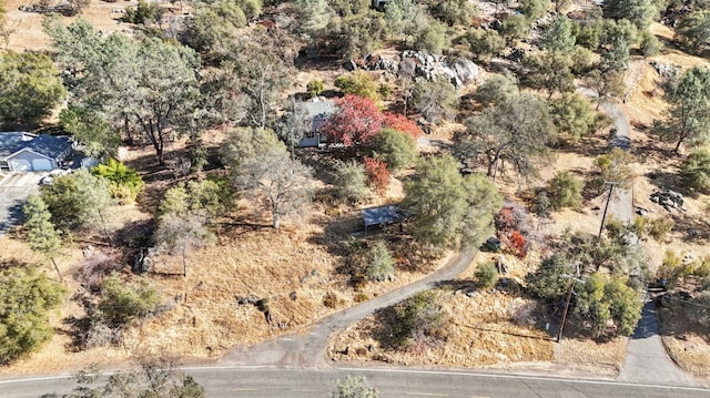 43299 Ranger Circle Dr, Coarsegold, CA 93614 - birds eye view of property