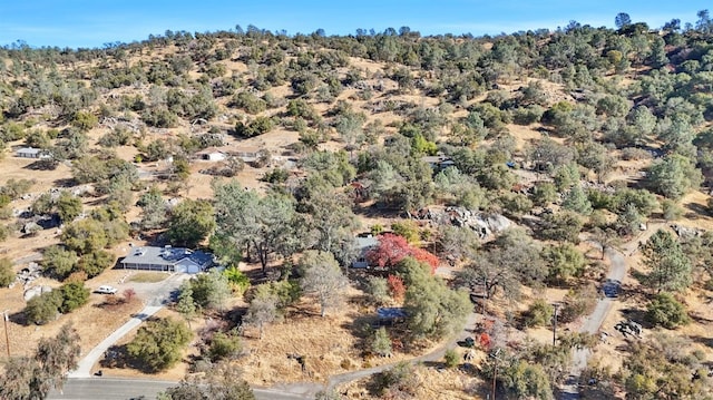 43299 Ranger Circle Dr, Coarsegold, CA 93614 - aerial view