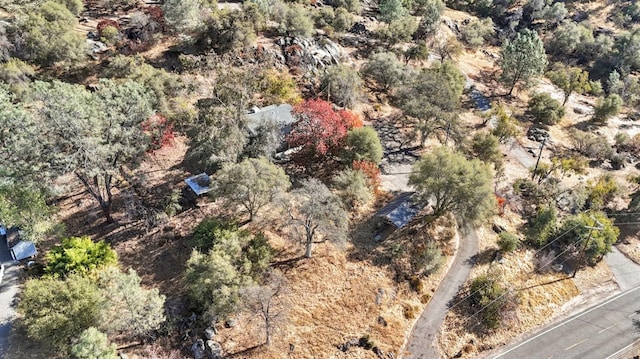 43299 Ranger Circle Dr, Coarsegold, CA 93614 - aerial view