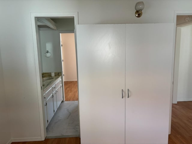 bathroom featuring wood finished floors and vanity