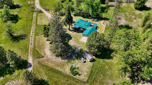 drone / aerial view