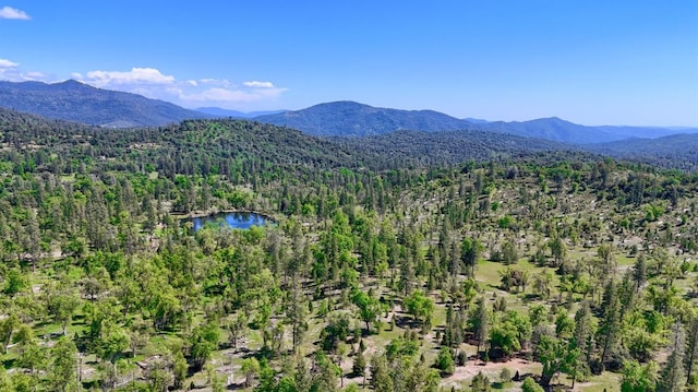 bird's eye view with a water and mountain view and a forest view