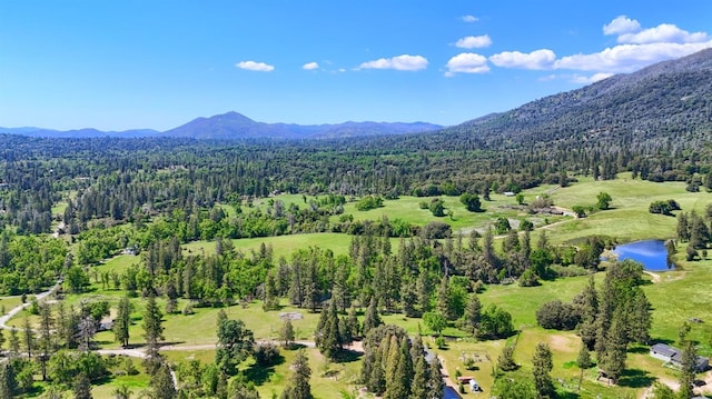 aerial view with a water and mountain view and a view of trees